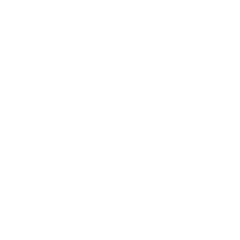 Data Analyst e AI Specialist